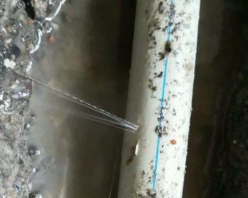 科尔沁右翼中卫生间测漏水多少钱